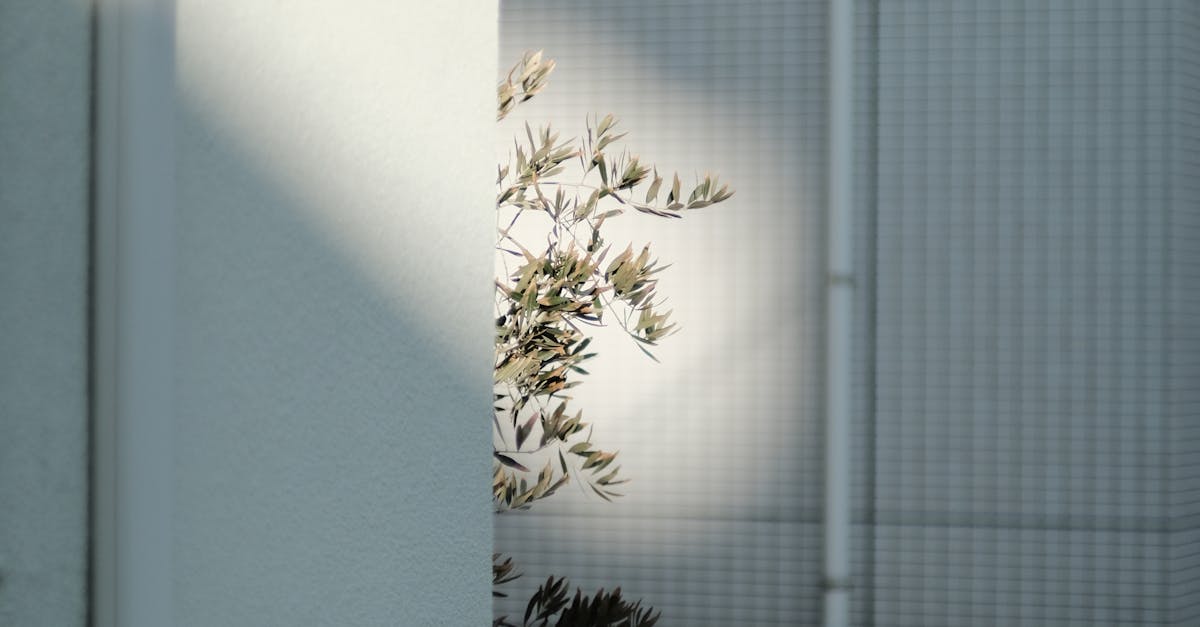 How to Select the Right Air-Cooled System for Your Industrial Needs