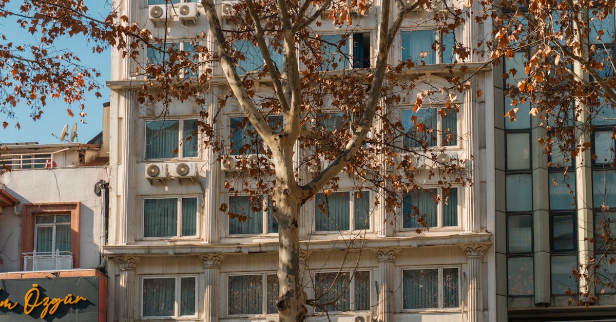 What to Expect from Advanced Cooling Technologies in Chemical Production